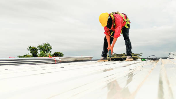 Skylights in Hudson Lake, IN